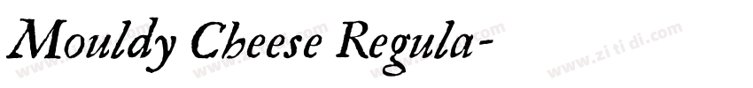 Mouldy Cheese Regula字体转换
